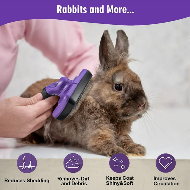 Dog Brush & Cat Brush - Self Cleaning Slicker Brush + Comb included, for Shedding and Grooming Loose Undercoat, Mats - for Small, Medium & Large Dogs and Cats with Short to Long Hair, Purple