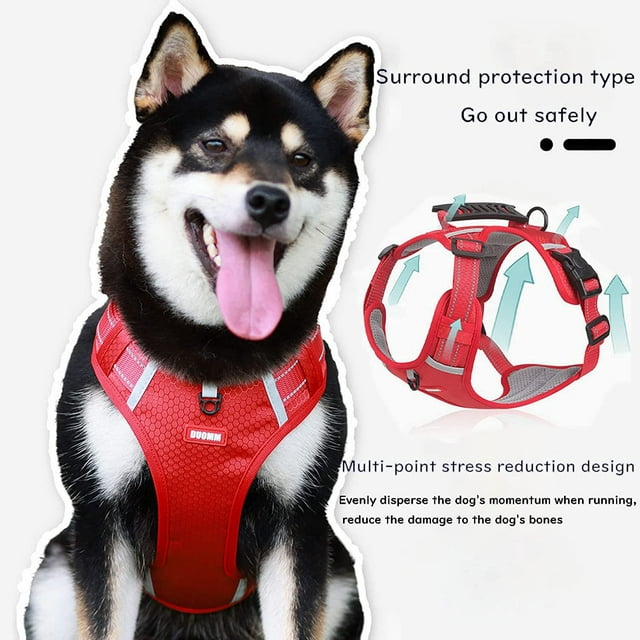 Dog Harness and Leash Combo, Escape Proof No Pull Dog Vest Harness, Adjustable Reflective Dog Vest Harness, for Small & Medium Dogs, Black